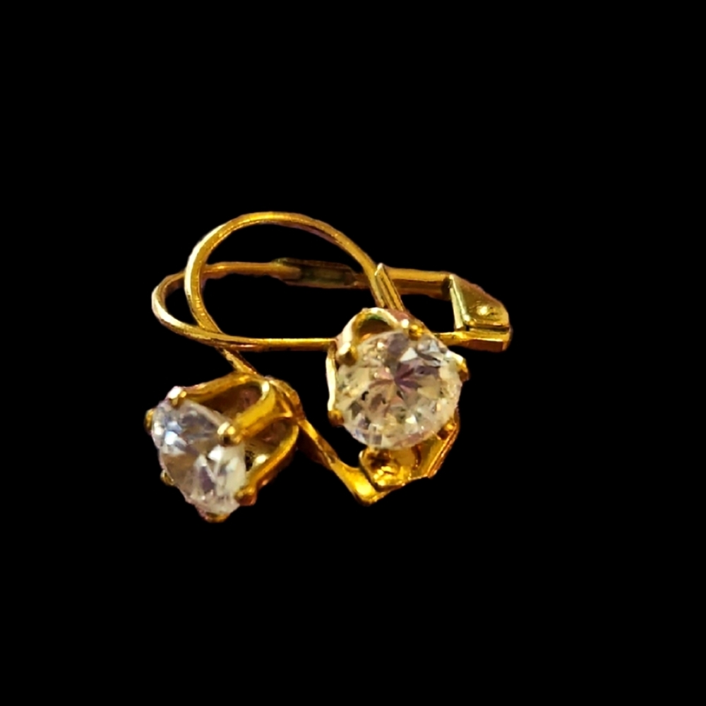Antique Earrings